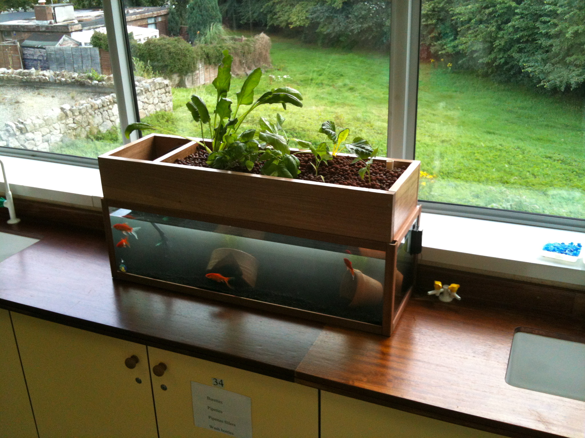Aquaponics is a sustainable food production system. It is a ...