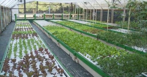  aquaponic systems yay for them an aquaponic system can be built